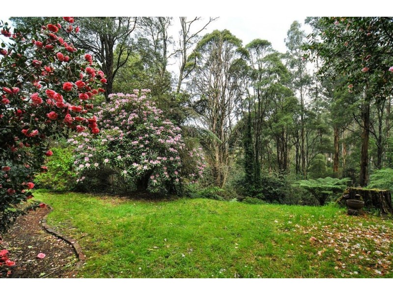 10 Lennox Grove, Sassafras VIC 3787