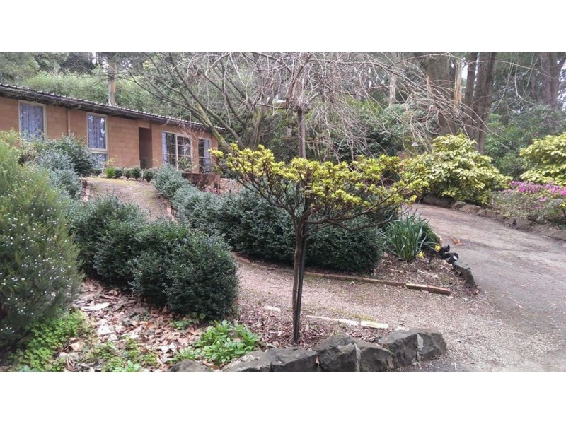 22 upper coonara road, Olinda VIC 3788