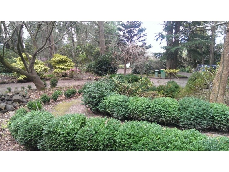 22 upper coonara road, Olinda VIC 3788