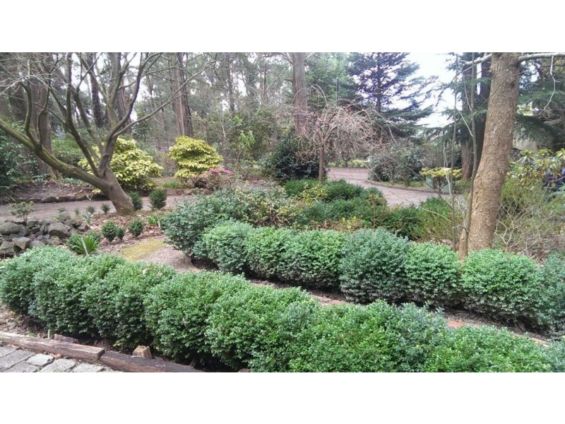 22 upper coonara road, Olinda VIC 3788