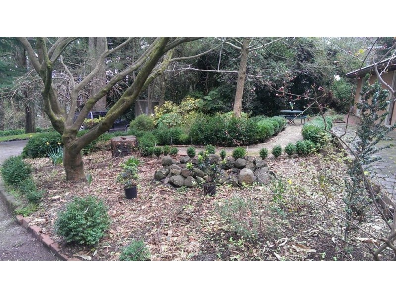 22 upper coonara road, Olinda VIC 3788