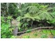 32 Hazel Grove, Tecoma VIC 3160