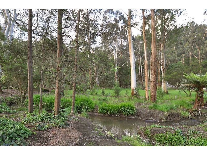 50 Park Drive, Belgrave VIC 3160