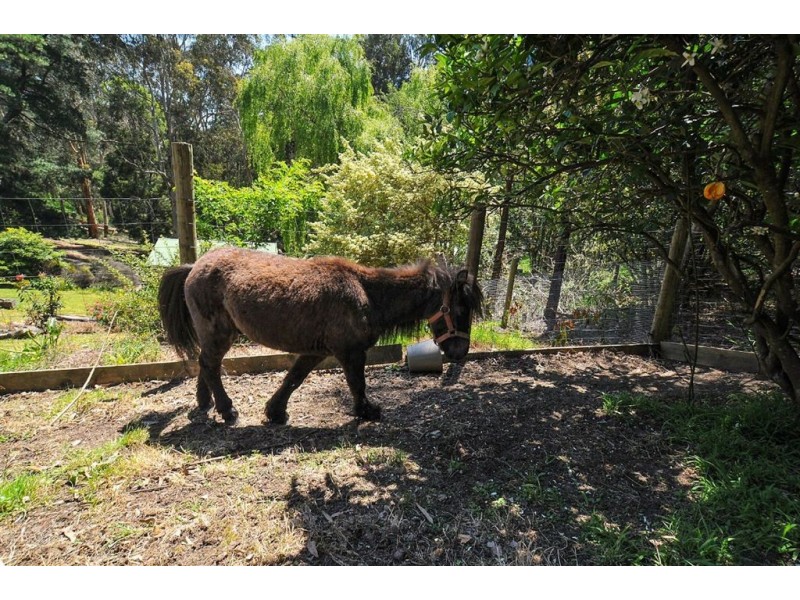 7 Batesleigh Road, Selby VIC 3159