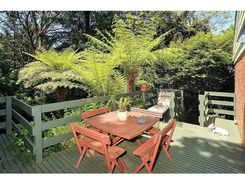 4 Cooloongatta Road, Sassafras VIC 3787