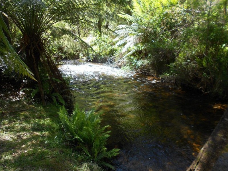 31 Fisherman Drive, Reefton VIC 3799