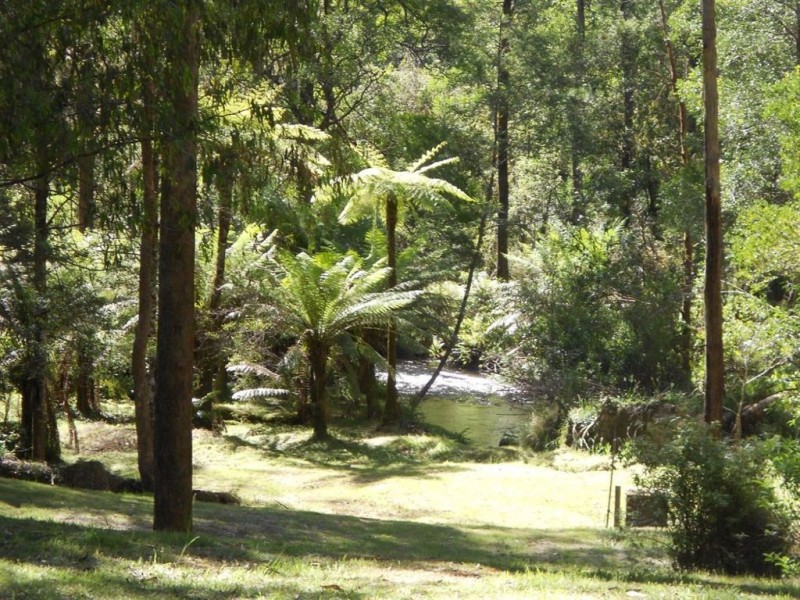 31 Fisherman Drive, Reefton VIC 3799