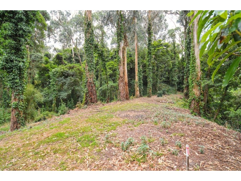 2 Minter Street, Belgrave VIC 3160