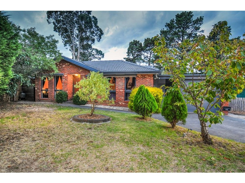 10 Napier Close, Wantirna VIC 3152