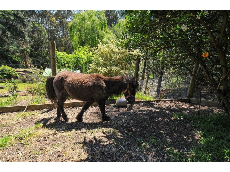 7 Batesleigh Road, Selby VIC 3159