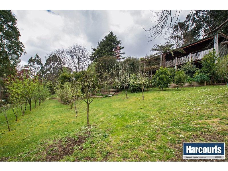 54-56 View Road, The Patch VIC 3792