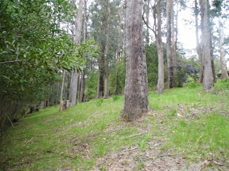 6 Janesdell Avenue, Ferny Creek VIC 3786