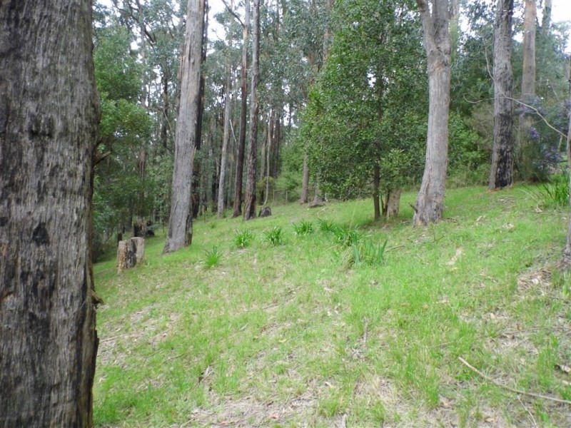 6 Janesdell Avenue, Ferny Creek VIC 3786