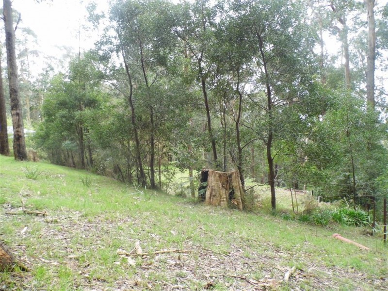 6 Janesdell Avenue, Ferny Creek VIC 3786