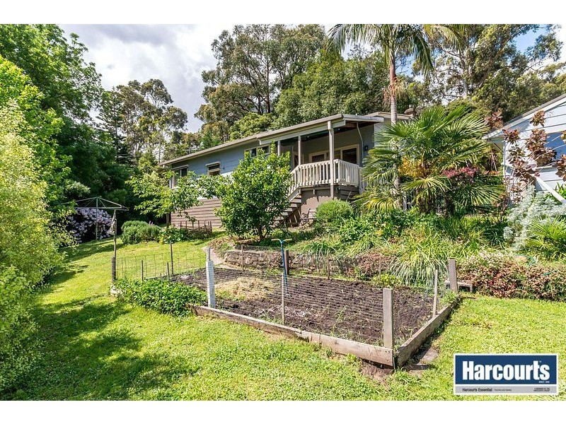 35 Sandells Road, Tecoma VIC 3160