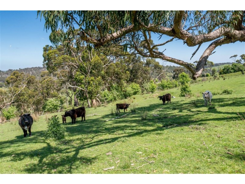 285 Glenfern Road, Upwey VIC 3158