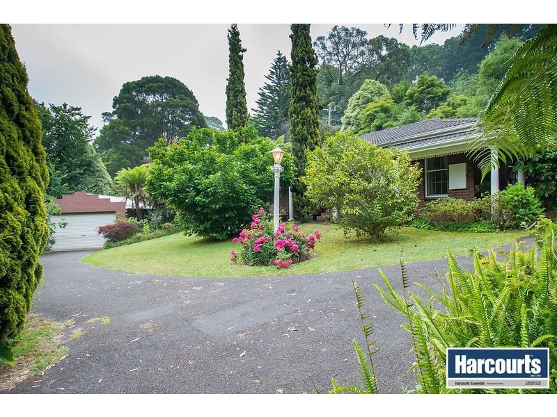 38 Blackwood Street, Tecoma VIC 3160
