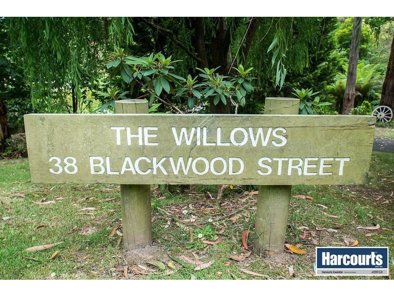 38 Blackwood Street, Tecoma VIC 3160