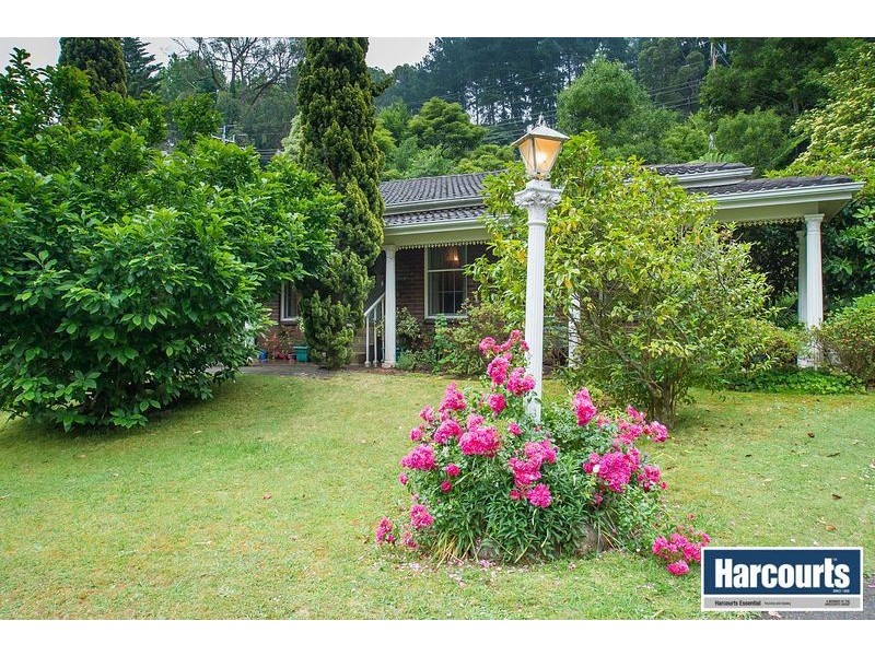 38 Blackwood Street, Tecoma VIC 3160