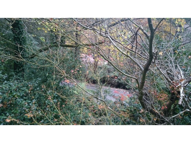 45 Upper Coonara Road, Olinda VIC 3788