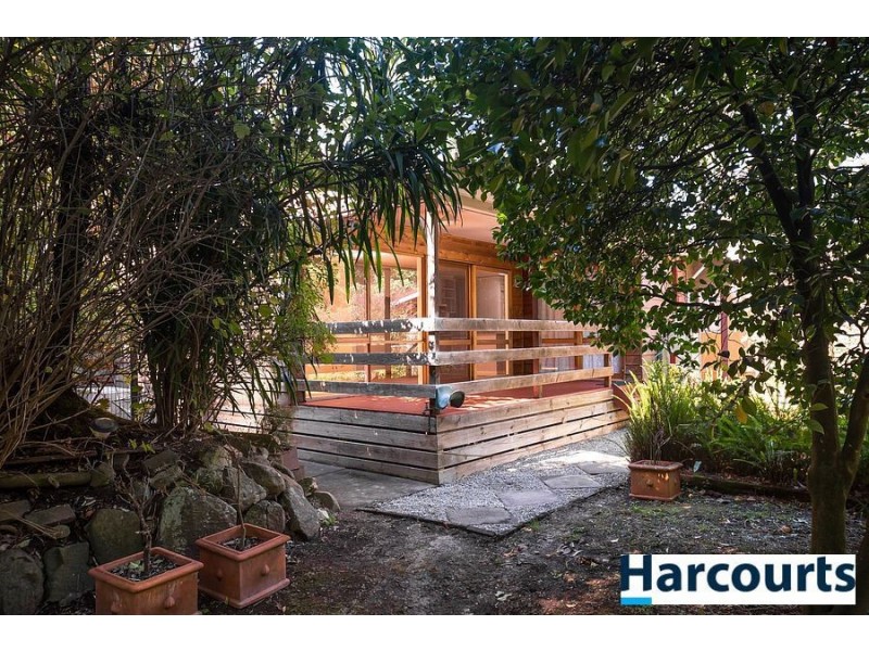 11 Blackwood Street, Tecoma VIC 3160