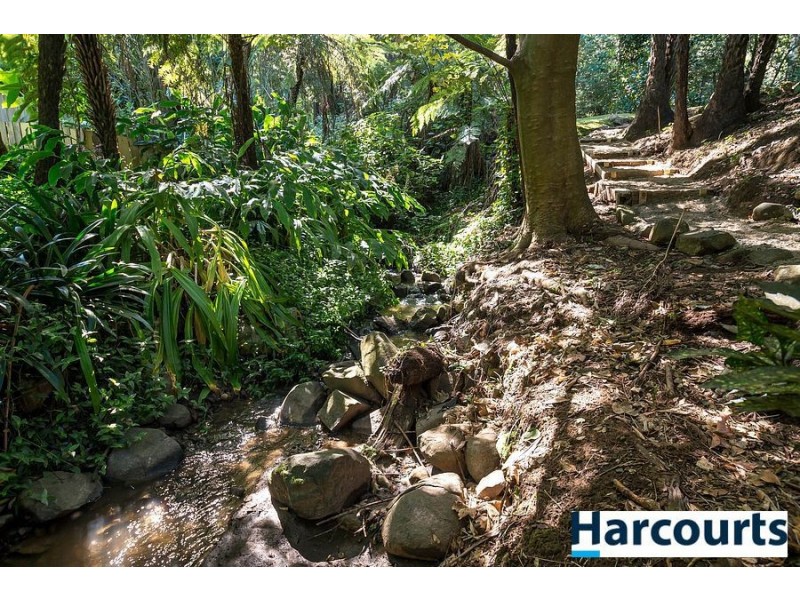 11 Blackwood Street, Tecoma VIC 3160