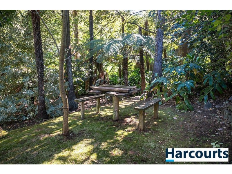 11 Blackwood Street, Tecoma VIC 3160