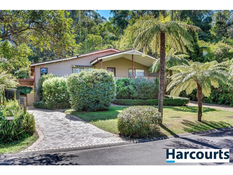 11 Blackwood Street, Tecoma VIC 3160