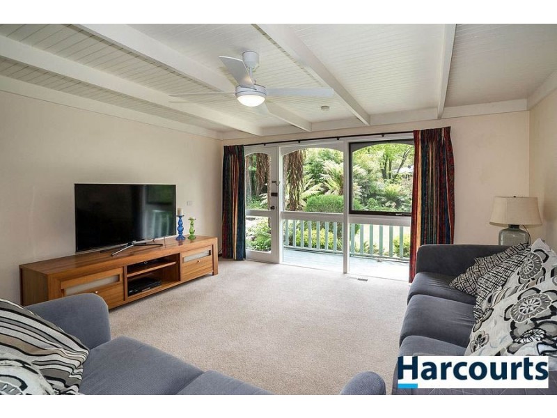 16 Oconnors Road, The Patch VIC 3792