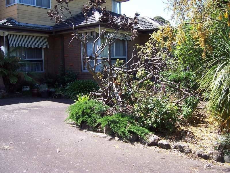 15 Edgewood Avenue, Burwood East VIC 3151