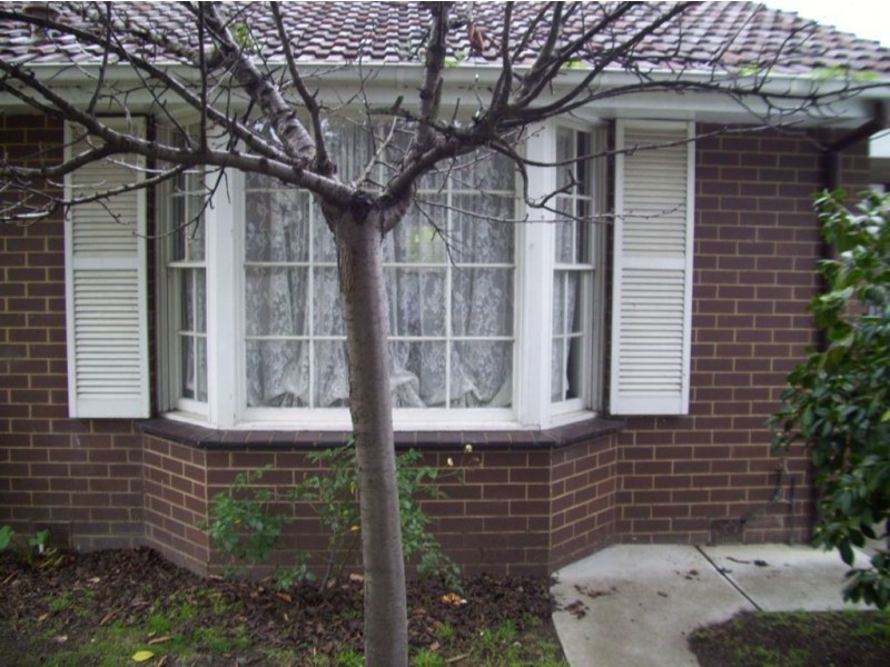 2B Monica Street, Doncaster East VIC 3109