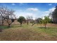 16 Alfred Grove, Oakleigh East VIC 3166