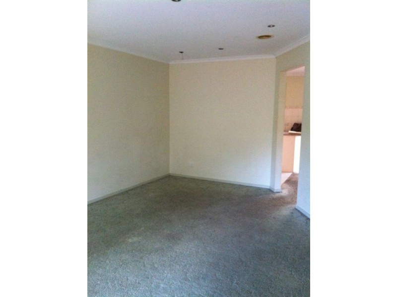 37 Francis Street, Clayton VIC 3168