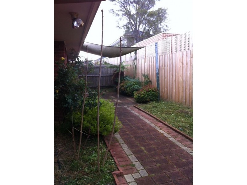 37 Francis Street, Clayton VIC 3168