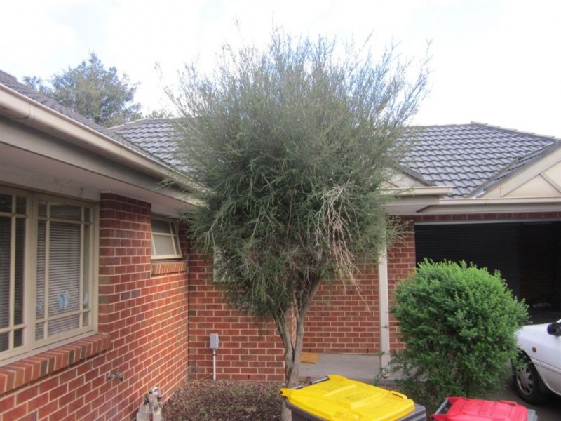 2/42 Browns Road, Clayton VIC 3168