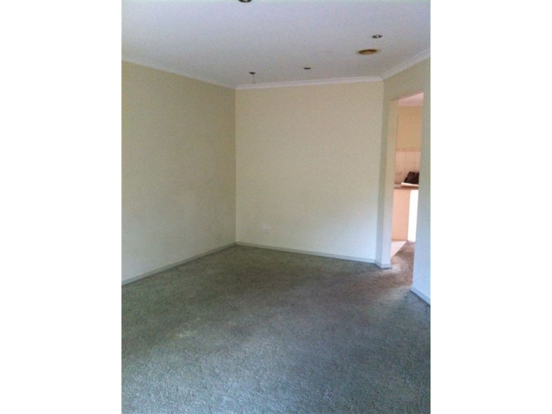 37 Francis Street, Clayton VIC 3168