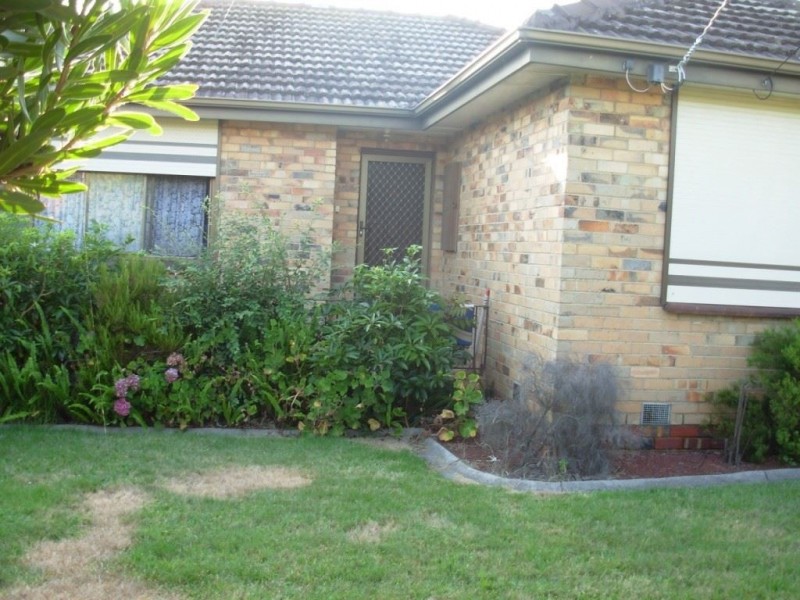 35 Evelyn Street, Clayton VIC 3168