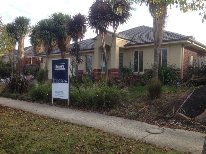 16 Montpelier Drive, Berwick VIC 3806