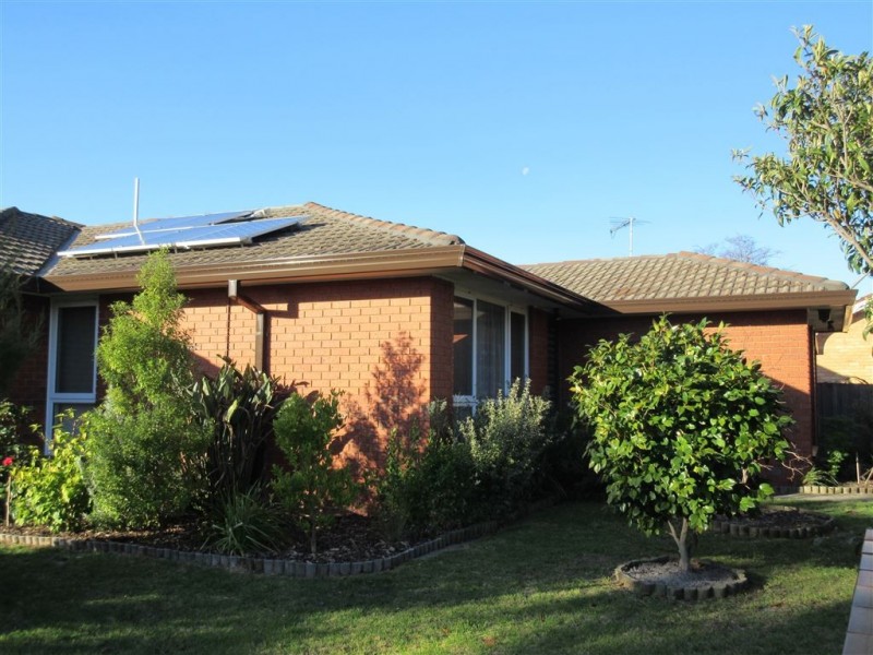 1/17 Francis Street, Clayton VIC 3168