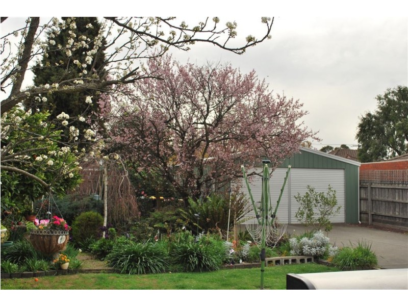 37 Thompson Street, Clayton VIC 3168