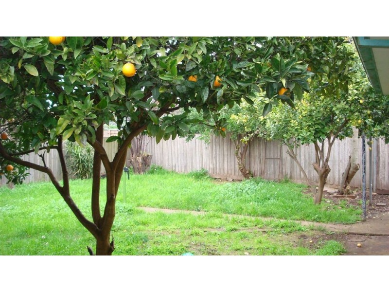 163 Karingal Drive, Frankston VIC 3199