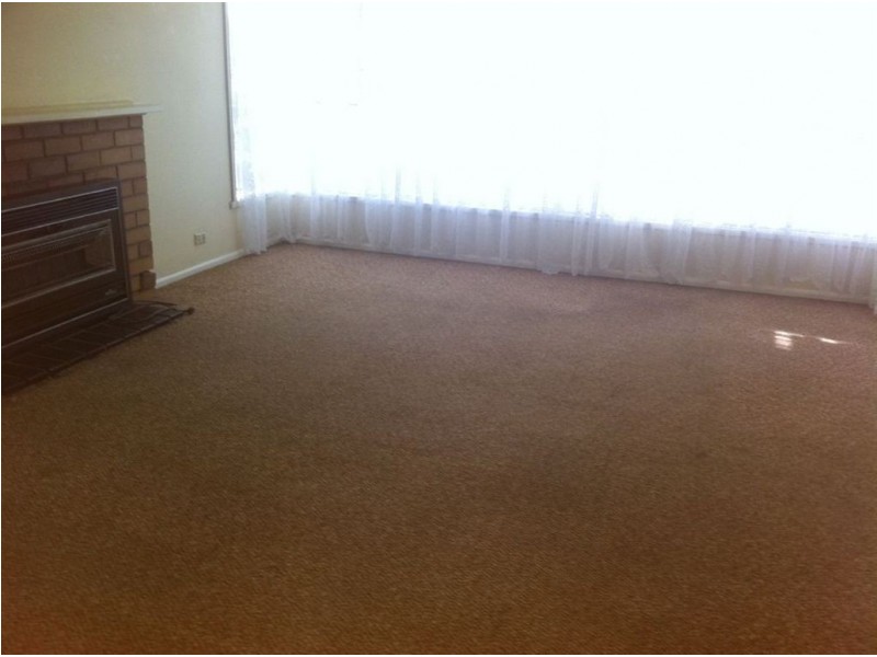 1504 North Road, Clayton VIC 3168