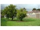 113 Moriah Street, Clayton VIC 3168