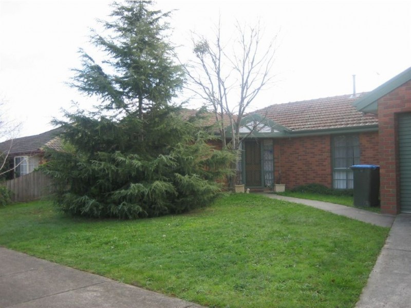 12 Hedgeley Drive, Berwick VIC 3806