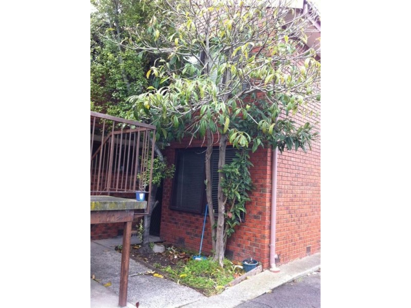 3/44 Oakes Avenue, Clayton South VIC 3169