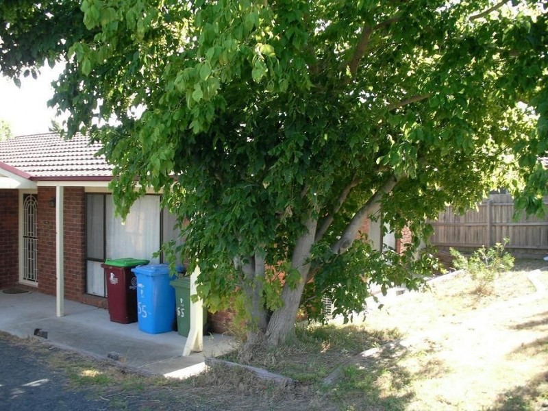 55 Amber Crescent, Narre Warren VIC 3805