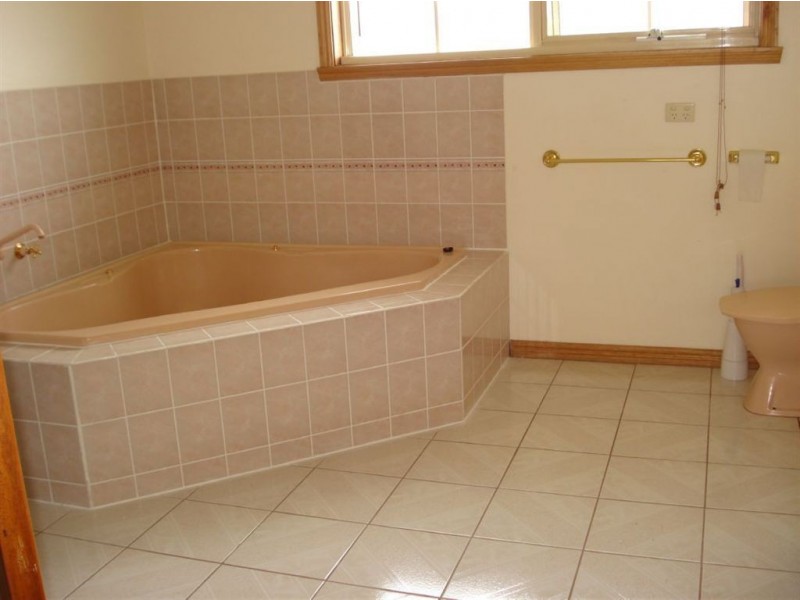 36 Wedge Street, Dandenong VIC 3175