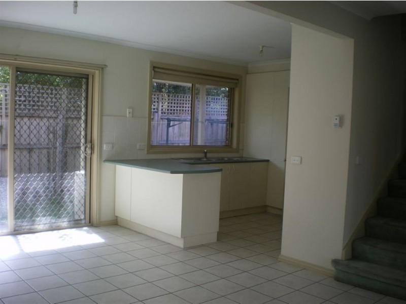 3/241 Clayton Road, Clayton VIC 3168
