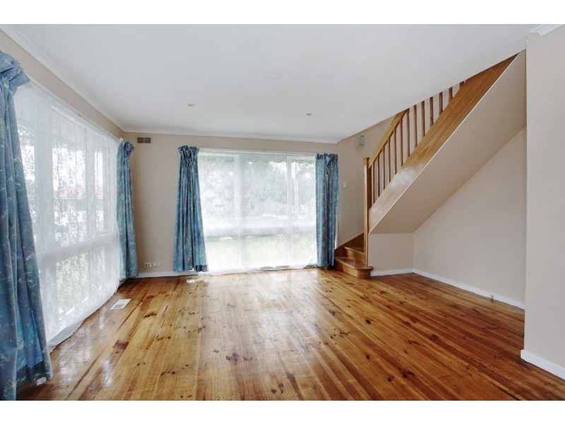 117 Springs Road, Clayton South VIC 3169