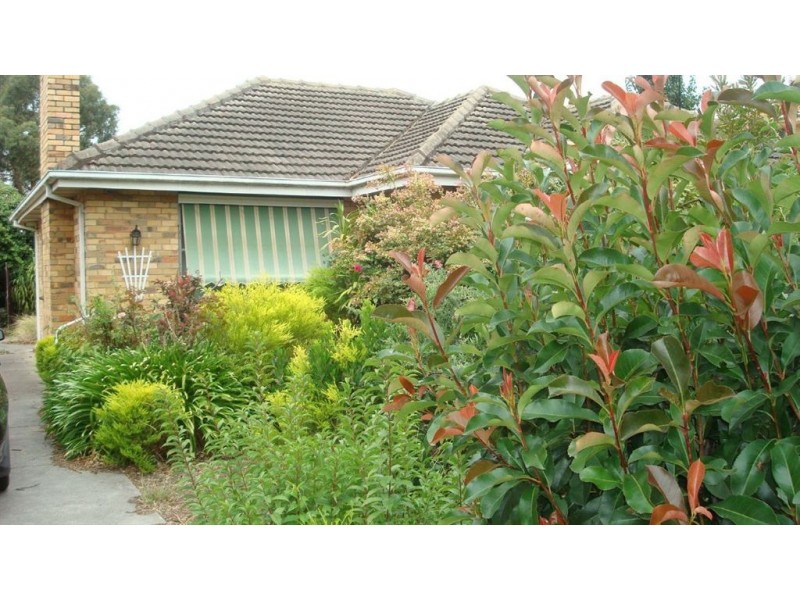 42 Marshall Avenue, Clayton VIC 3168